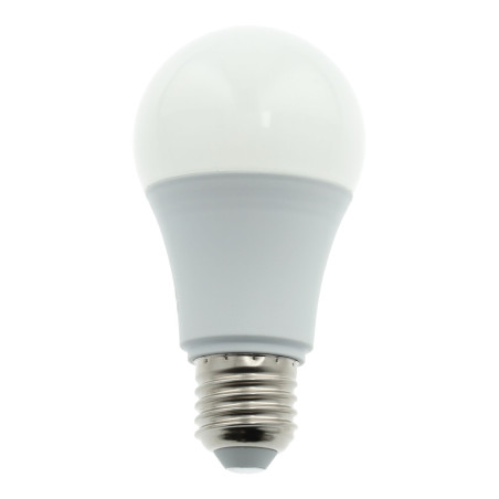 LED-Lampe 10W E27 12V-24V