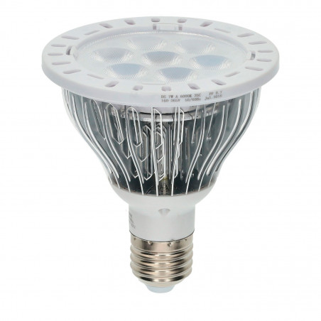 PAR30 7W