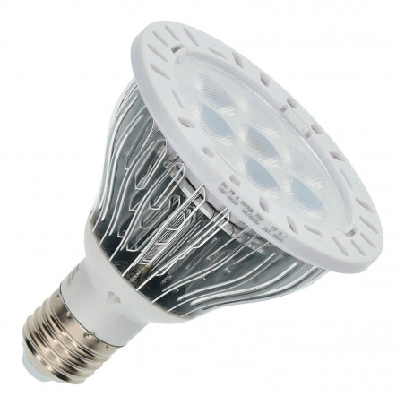 PAR30 7W