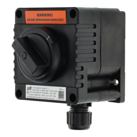 ATEX 16A IP66 Double Pole Switch