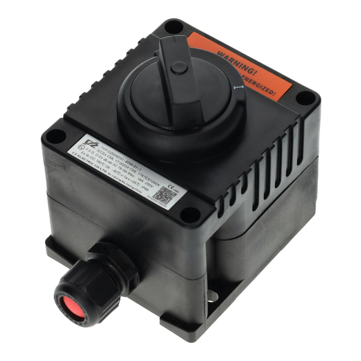 ATEX 16A IP66 Double Pole Switch