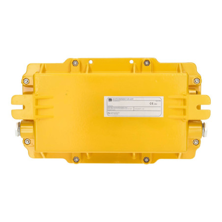 Back ATEX 3W IP65 Maintained LED Emergency Light