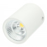 LED Ceiling Light -7W white Bridgelux COB