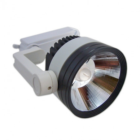 LED Rail Spotlight - Adjustable, 20W