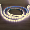 Tira Led 5m 24V 14.4W/m IP65