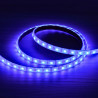 Tira Led RGB 12V 14.4W/m IP68 sumergible