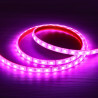 LED Strip - Waterproof, IP68, 14.4W/m, RGB