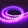Tira Led RGB 12V 14.4W/m IP65 Impermeable