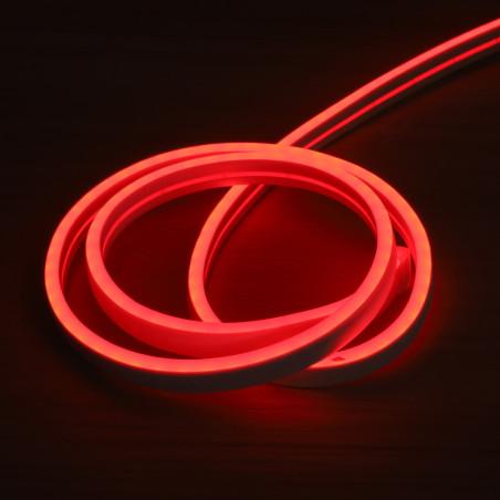 Neon flex 12V 7W/m