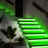 Neon flex 12V 12W/m RGB