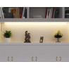Bande LED 5m 12V 4,8W/m IP20