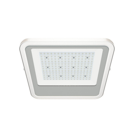 Projetor LED ATEX 100W 120°