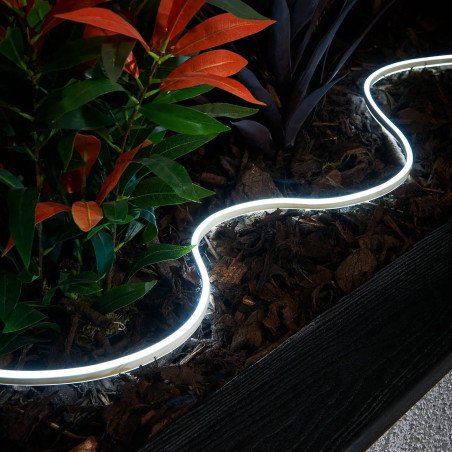 Neon Flex LED 24V