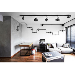 Capsule à vis hexagonale M20