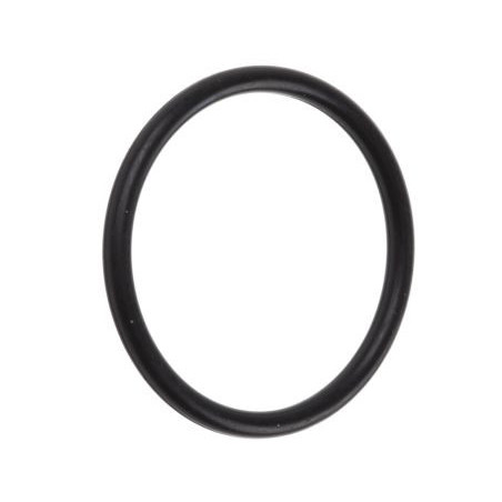 O-Ring M20 x 2mm