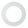 Downlight - SILVER Round 6W Panel