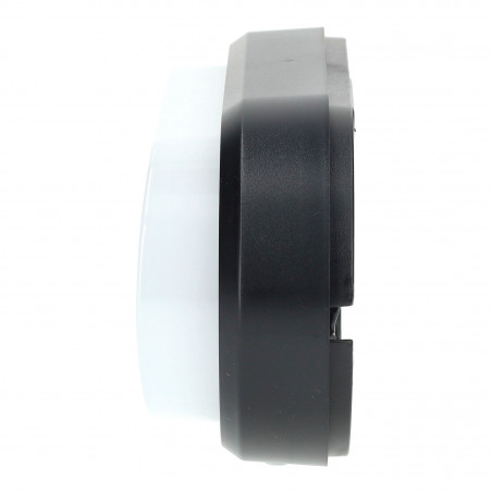 12W IP54 Oval LED Decke