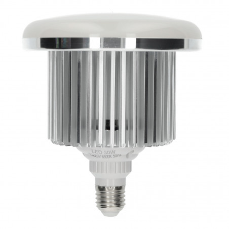 Lampe LED industrielle 50W