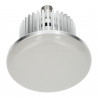Industrial led light 50W