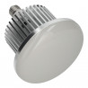 Industrial led light 50W