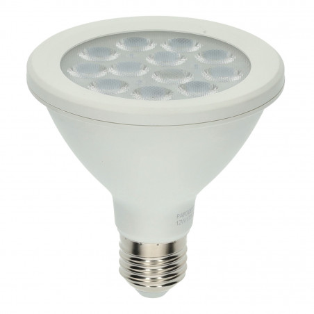 PAR30 12W