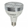 PAR30 35W Puce Osram