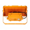 Proiettore LED ATEX 200W LUMILEDS 3030 - Mean Well